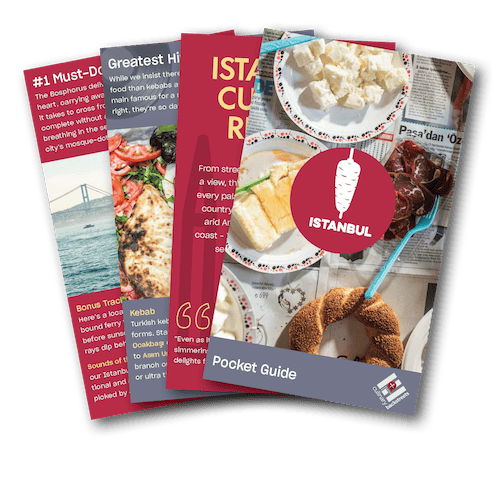 Pocket Guide Image