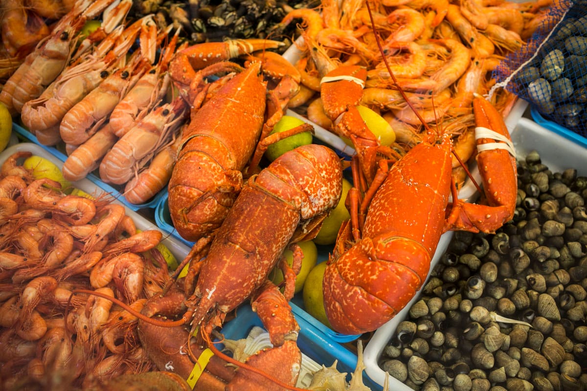 Get up close with seafood that's as fresh as can be
