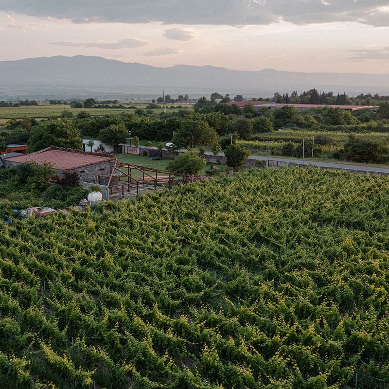 Onward to Kakheti