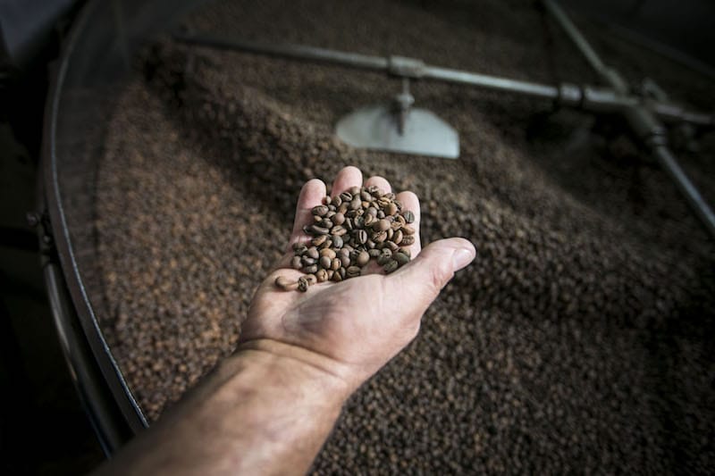 Examining the bean, photo by Rodrigo Cabrita Flor da Selva, photo by Rodrigo Cabrita