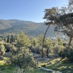 Milk Street on the Road: Athens and the Peloponnese
