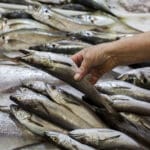 Song of the Sea: Fish, Seafood and Tradition in Lisbon’s Port Zone