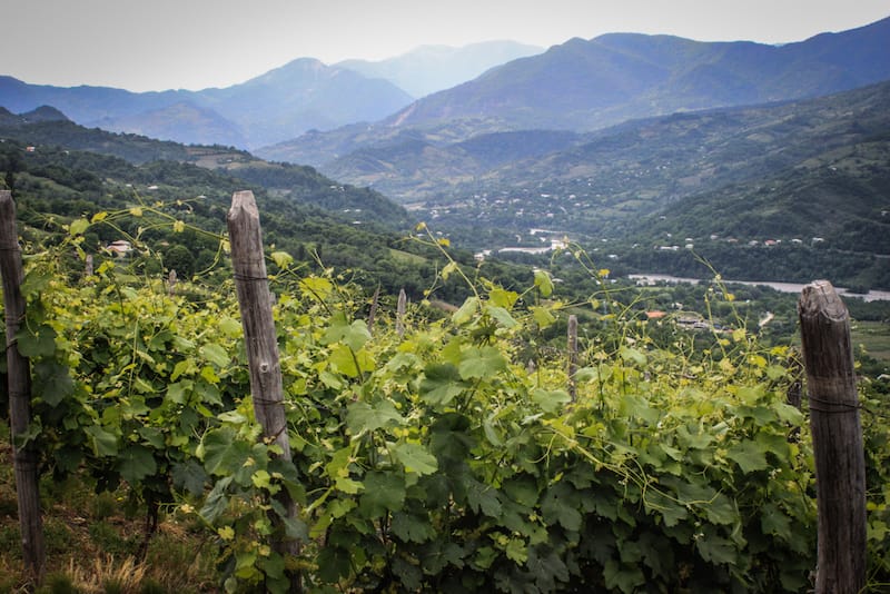 The Kvanchkara zone, Jvarisa, Racha, photo by Paul Rimple Racha wine, photo by Paul Rimple