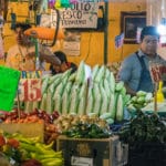 Xochimilco’s Market of Many Colors