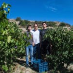 Harvest Week: In Greece, A Grown Up’s Wine, Made by “Kids”