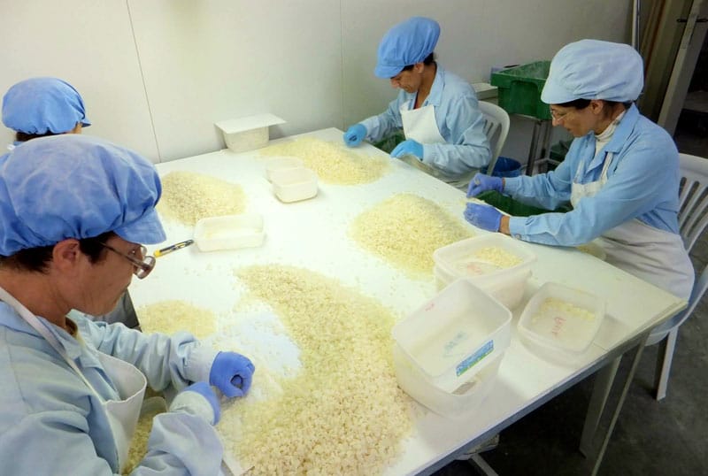 Workers cleaning mastiha, photo by Roxanne Darrow