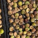 Building Blocks: Figs, Greece’s Ancient Superfood