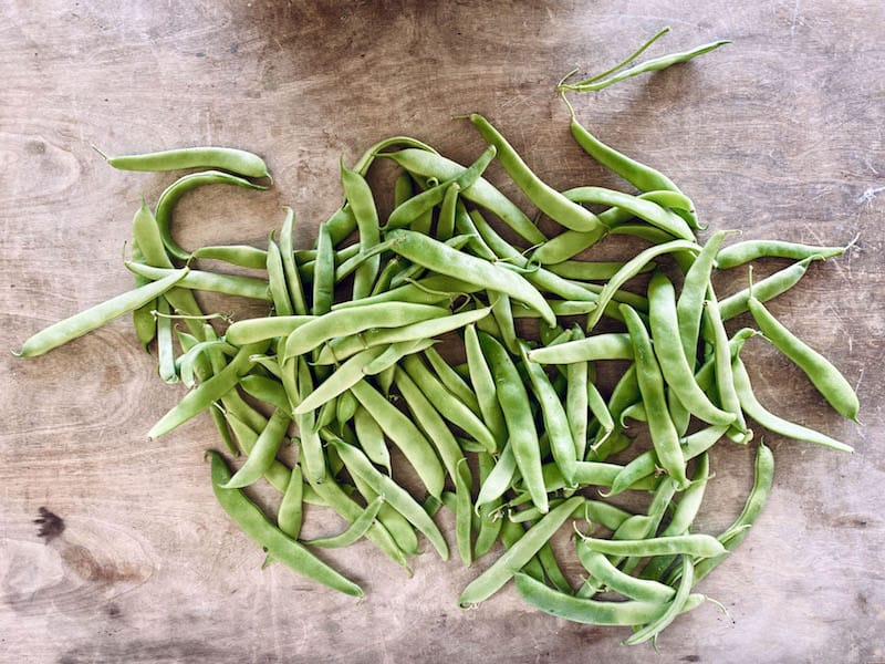 Fasoli, or flat green beans, are in season in the spring in Greece, photo by Carolina Doriti