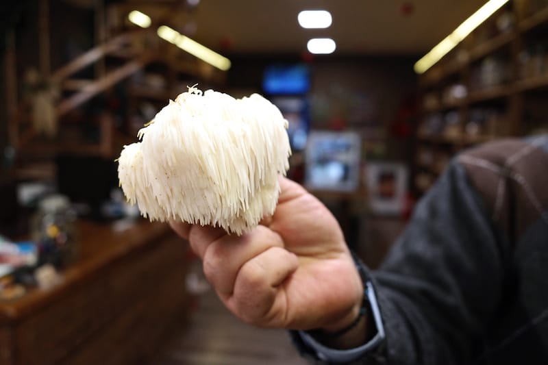 One of the rare mushroom varieties available at Manitarion Gefseis, photo by Manteau Stam