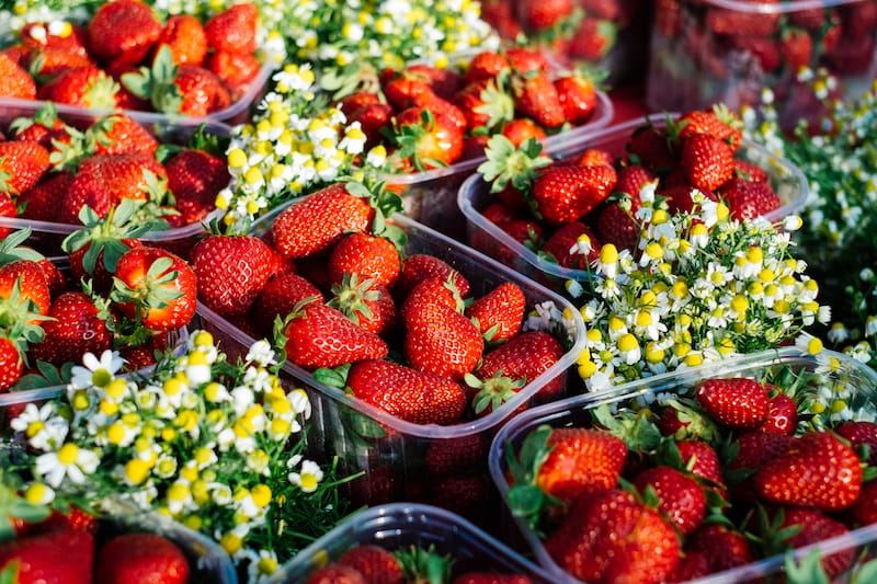 Christos Mplantis’ strawberries, photo by Manteau Stam