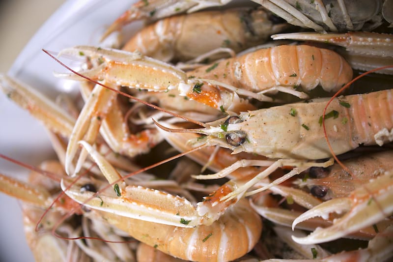 Langoustines, photo by Mikres Kyklades