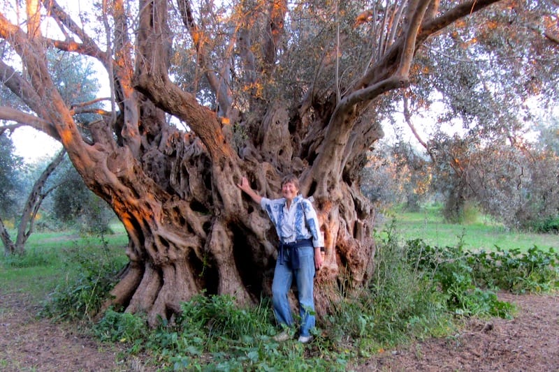 The author in front of the biggest olive tree she’s ever seen on Evia island, photo by Diana Farr Louis