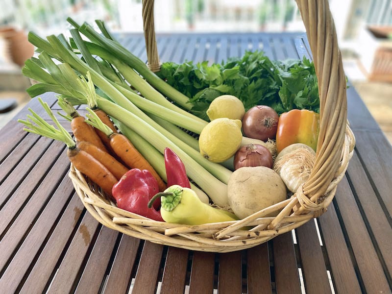 The ingredients for Carolina Doriti's prasa ladera recipe, photo by Carolina Doriti