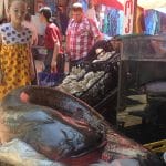 A Monster Catfish In Tbilisi