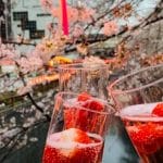 Toasting to Tokyo’s Cherry Blossoms