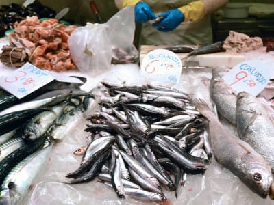 Fresh anchovies for sale, photo by Paula Mourenza