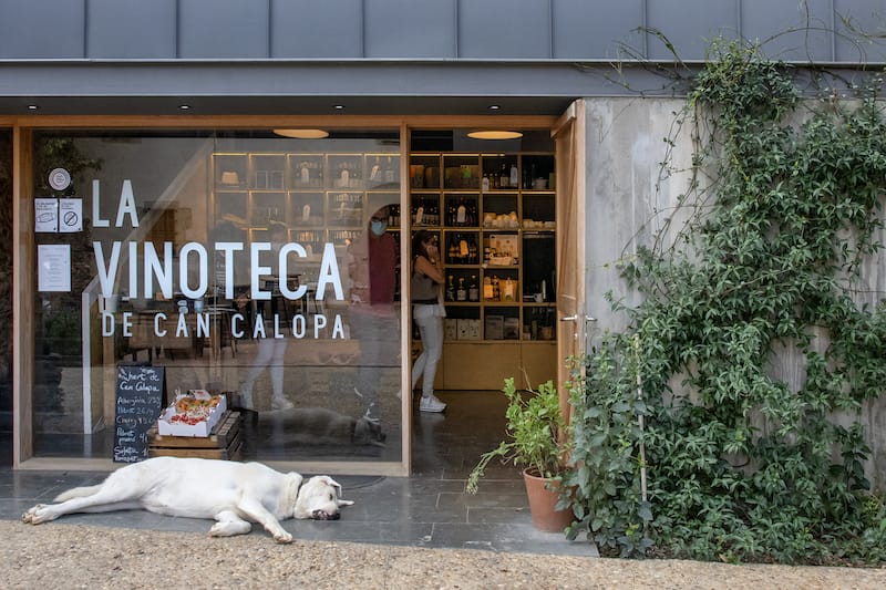 The shop at Can Calopa-L’Olivera, photo by Paula Mourenza