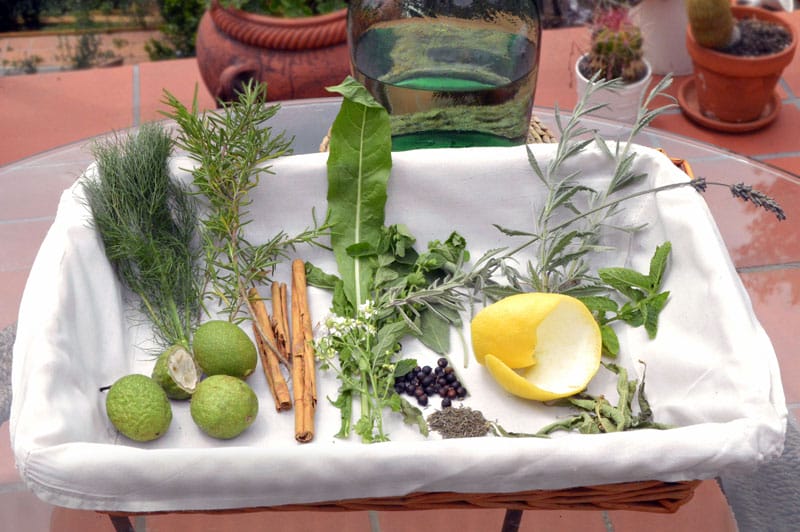 Some traditional ingredients for ratafía, photo by Paula Mourenza
