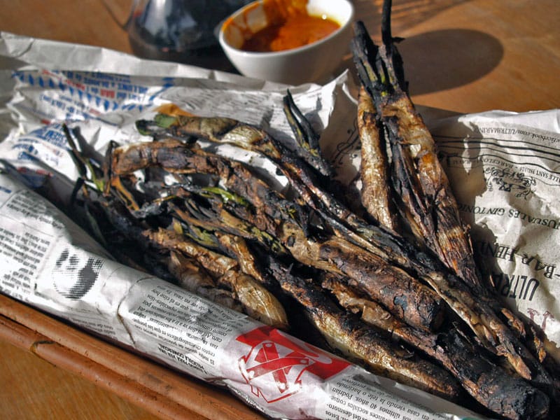 Grilled calçots, photo by Paula Mourenza