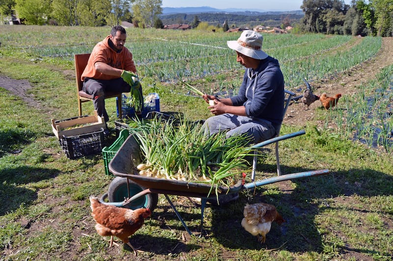 Karim and Guido work the La Comunal land in Campíns, photo by Paula Mourenza