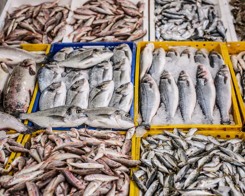 The daily catch on ice at the Batumi Fish Market, photo by Justyna Mielnikiewicz