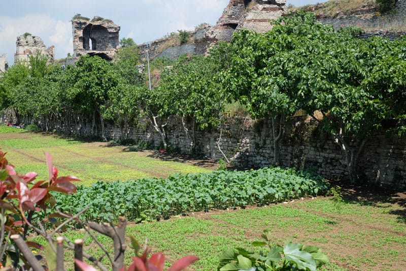 Yedikule bostan, photo by Paul Osterlund