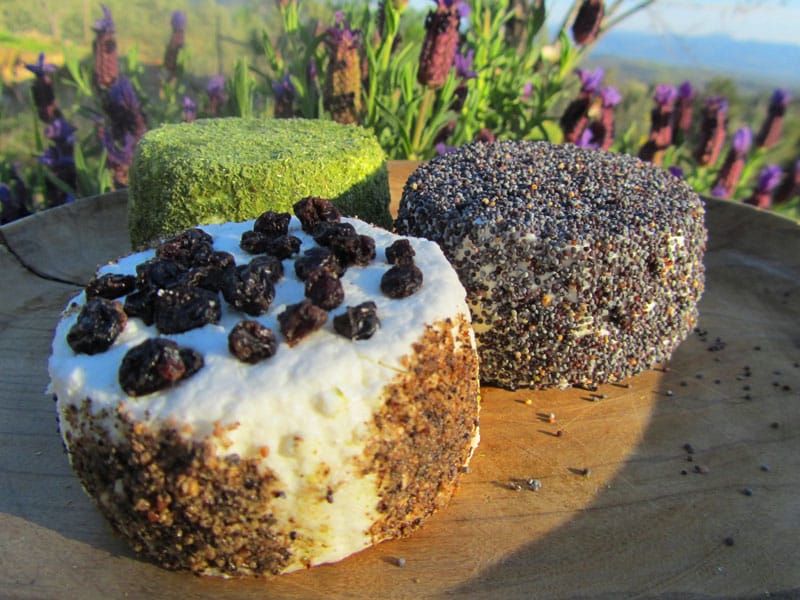 Cheese from Edremit, photo by Filiz Telek