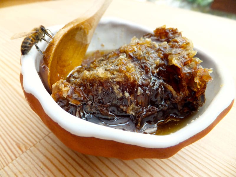 Chestnut honey from Fırtına Valley, photo by Roxanne Darrow
