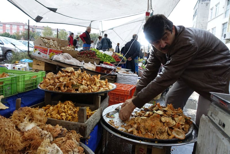 Mushrooms at İnebolu Pazarı, photo by Ansel Mullins