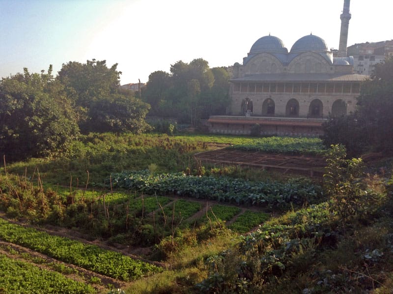 Gardens in Piyale Paşa, photo by Jennifer Hattam