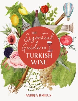 The Essential Guide to Turkish Wine by Andrea Lemieux