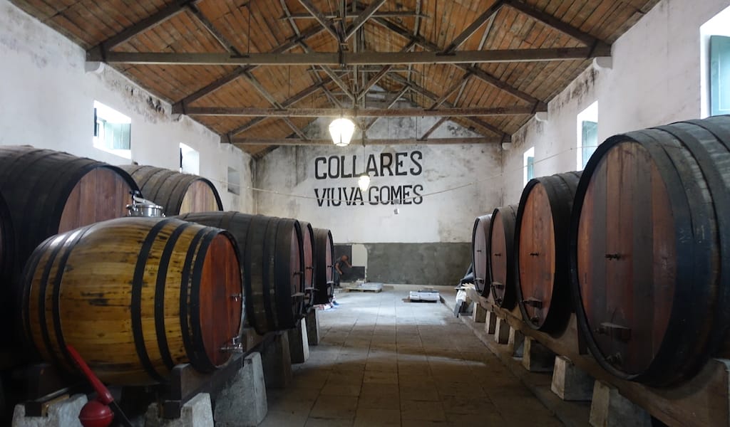 colares wine