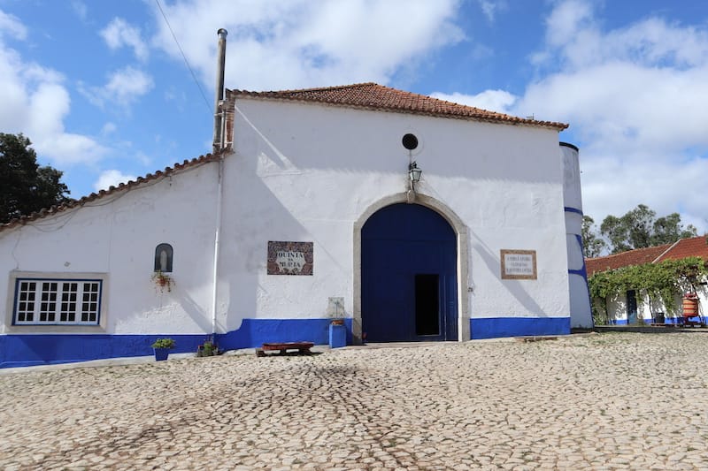 Quinta do Olival da Murta, photo by Célia Pedroso