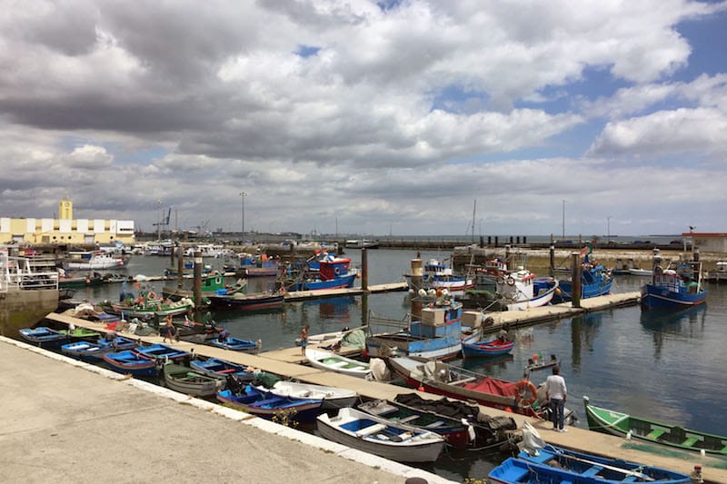Cuttlefish boats in Setúbal, photo by Francesca Savoldi