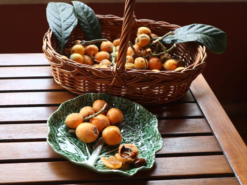 Small Tanaka loquats are often the sweetest and juiciest, photo by Célia Pedroso