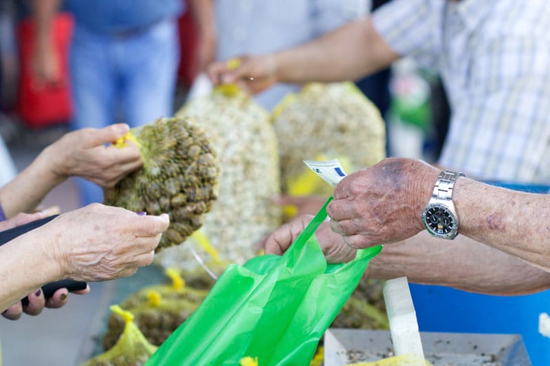 Snails at the Lleida market, photo by Sam Zucker