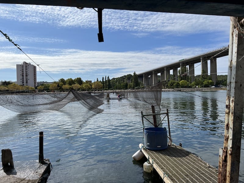 The last standing calen (ancestral fishing net) in Martigues, photo by Alexis Steinman