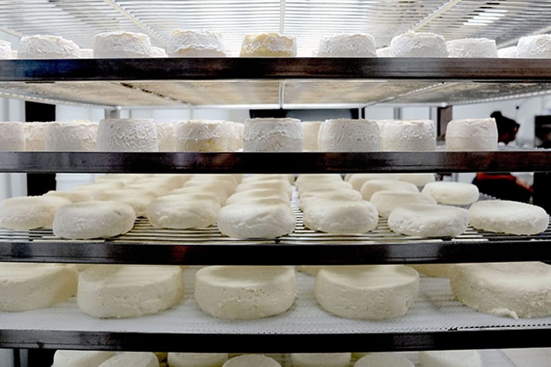 Thanks to their sustainable production methods of fabricating in micro-quantities, Laiterie Marseillaise can offer a wide selection in their small space, photo by Alexis Steinman