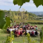 CB on the Road: Sunshine and Tuilé Wine at Vignoble Rasse