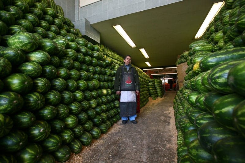 Watermelon vendor, La Central de Abasto, Mexico City, 2008, photo by Mark Alor Powell