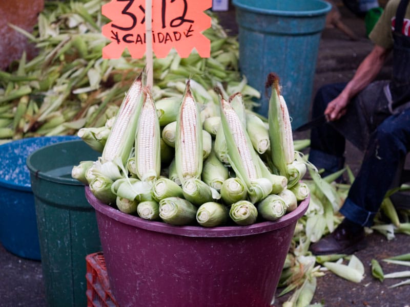 Corn for sale in Mexico, photo by Ben Herrera