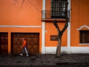 Coyoacán's colorful, tree-lined streets.