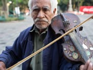 One of many musicians in Coyoacán's Zócalo.