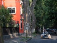 A typical morning scene in Coyoacán: a tamale vendor rides his cart through the streets.