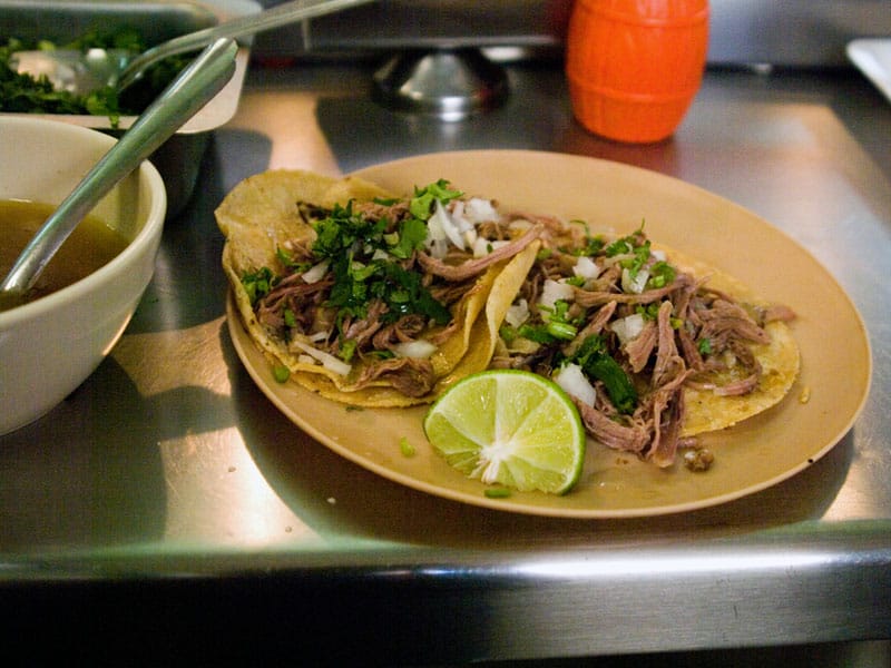 Tacos de barbacoa at El Profe, photo by Ben Herrera