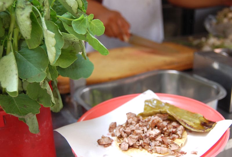 Pápalo at a taco stand, photo by Margret Hefner