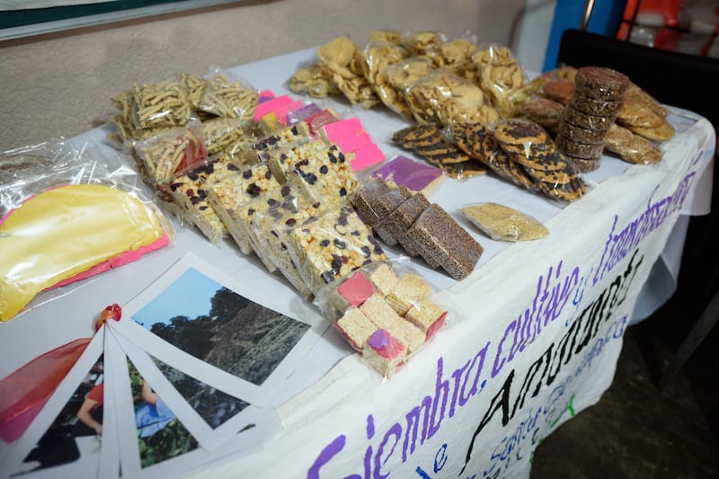 The Rocha family’s sweet and savory amaranth snacks, photo by PJ Rountree