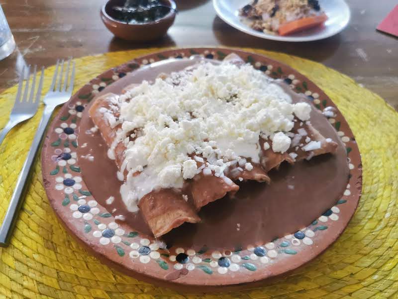 Homemade enfrijoladas, photo by Francisco de Santiago