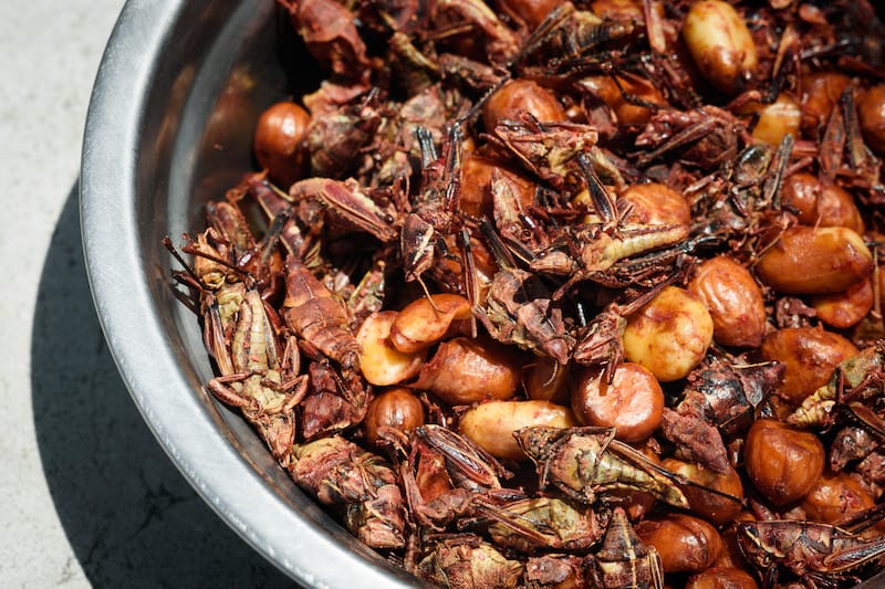 Chapulines, or grasshoppers, with peanuts, dried chile, and garlic in Mercado Medellín, photo by PJ Rountree edible insects Mexico City