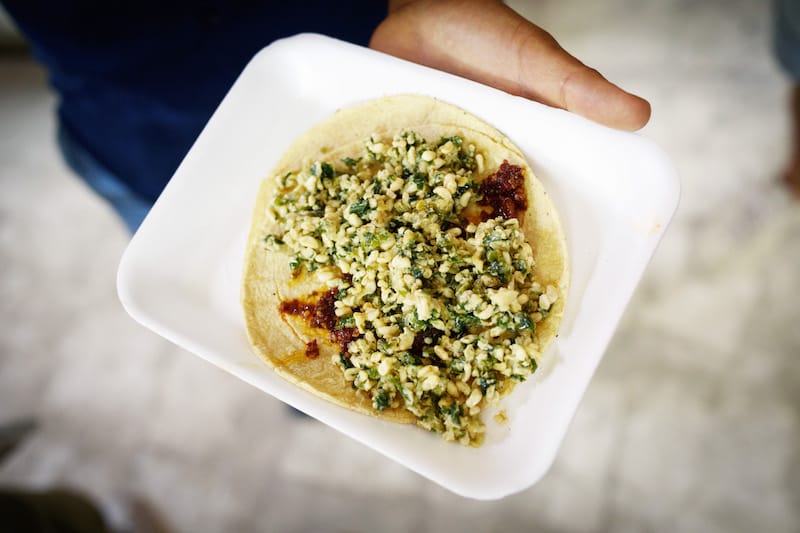 Escamoles, or ant larvae, on top of a tortilla at Productos Prehispánicos Álvarez in Mercado San Juan Pugibet, photo by PJ Rountree edible insects Mexico City